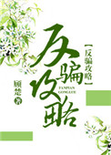 反骗攻略