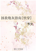 拯救炮灰指南