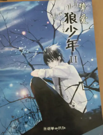 挚爱狼少年II